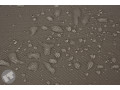 Waterproof fabric TOR1/17