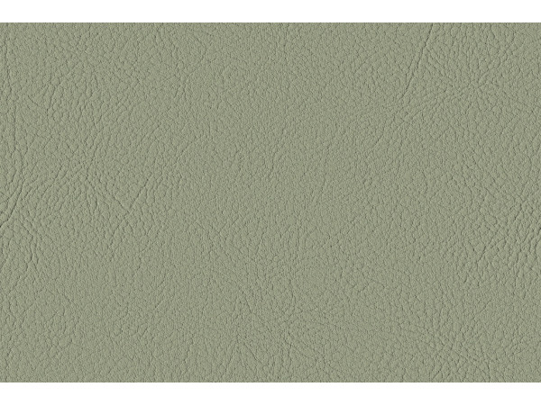 Certified artificial leather DE12E/72