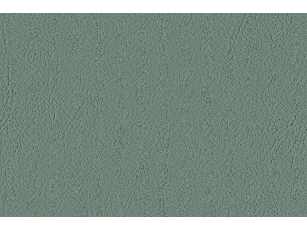 Certified artificial leather DE12E/69